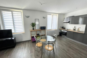 Le dominicains appartement au calme aux portes de la Place Stanislas
